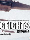 空中搏斗